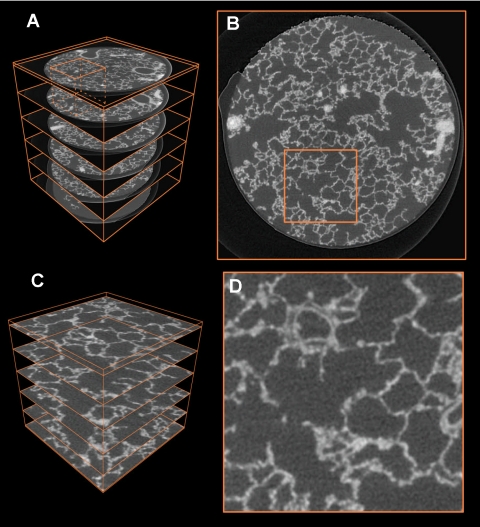 Fig. 5.