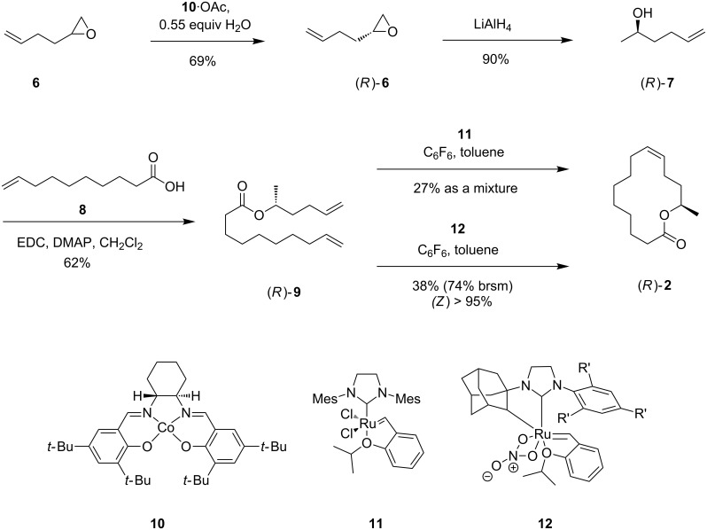 Scheme 1