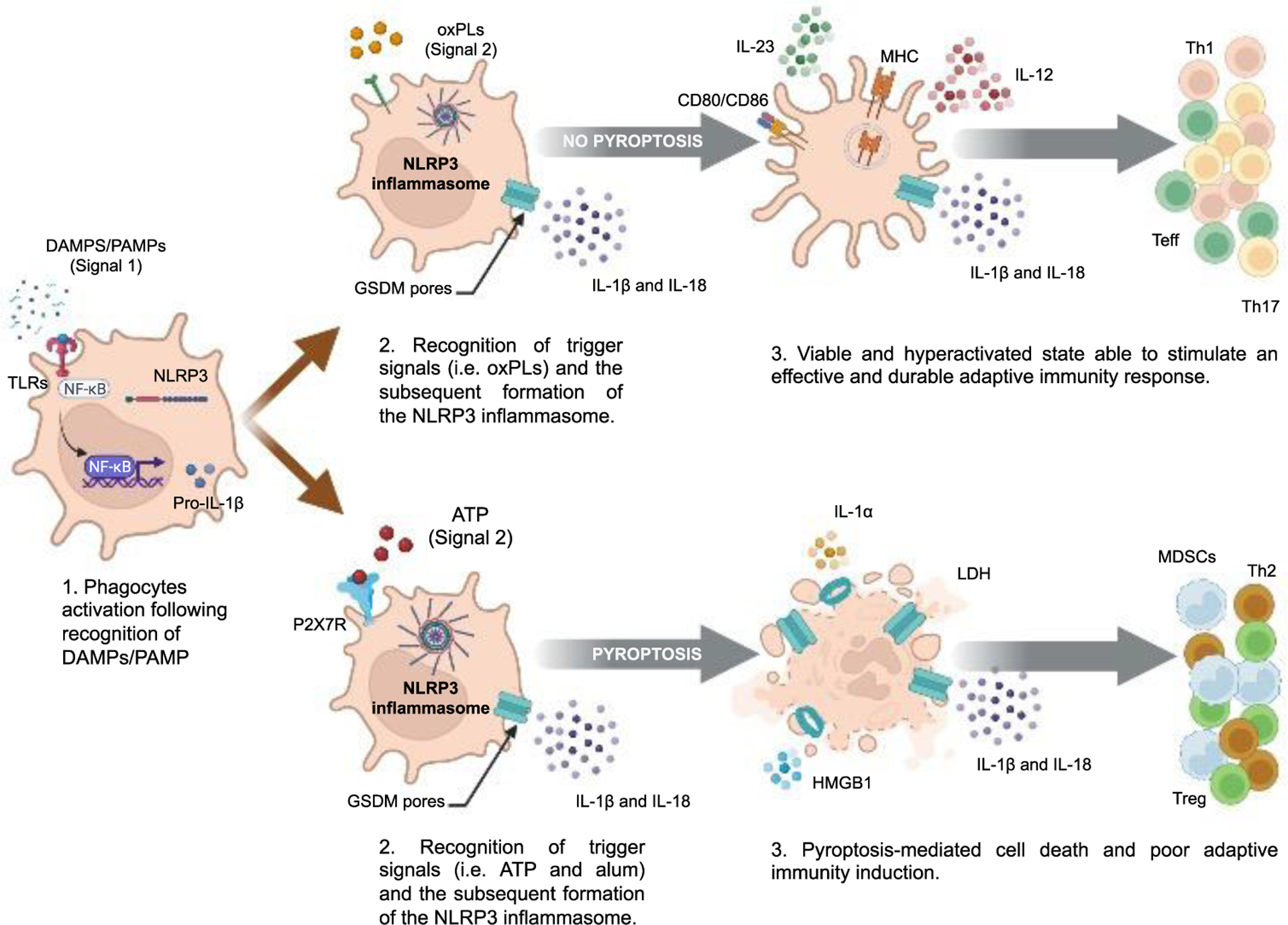 Figure 4.