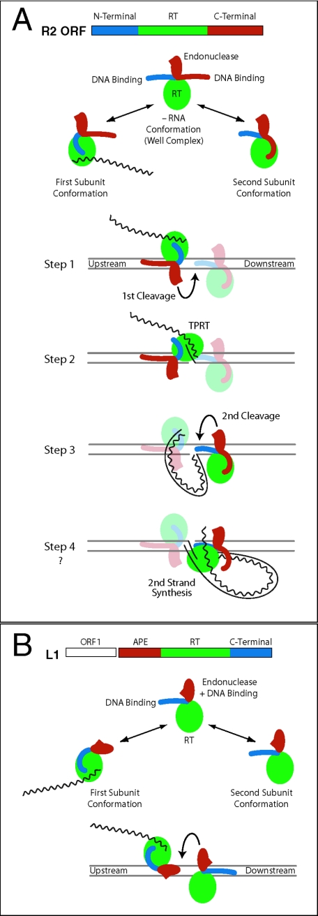 FIG.7.