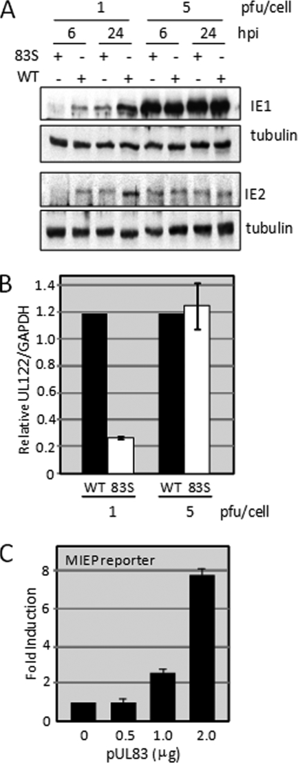 FIG. 2.