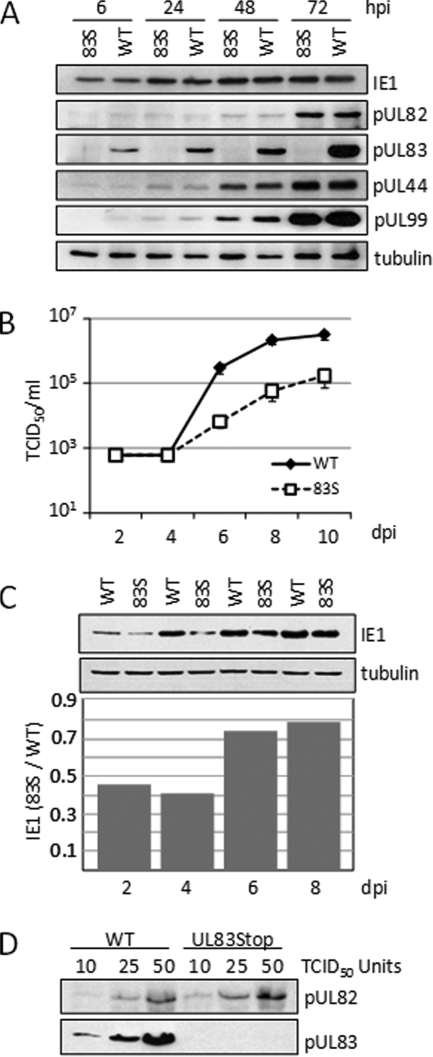 FIG. 1.