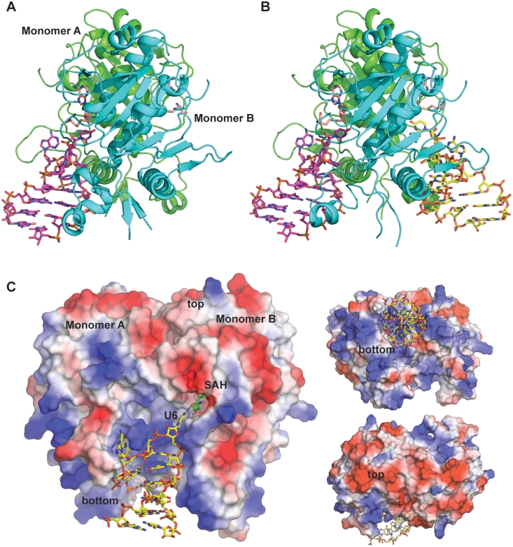 Figure 2.