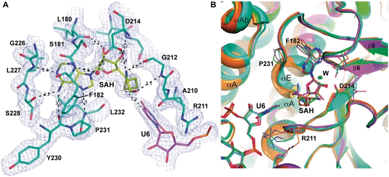 Figure 5.