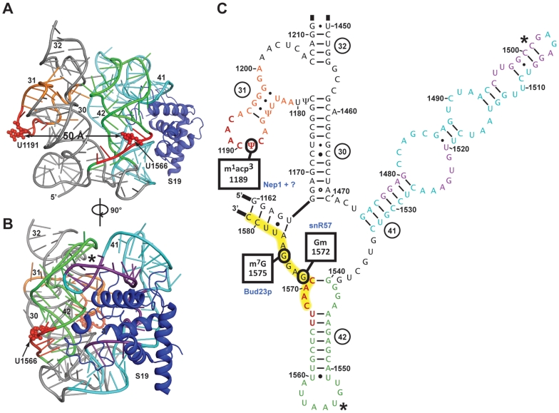 Figure 6.