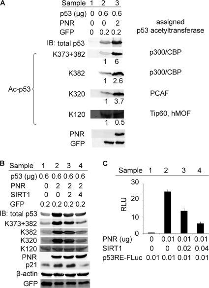 Fig 5