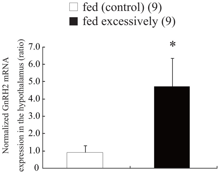 FIGURE 3