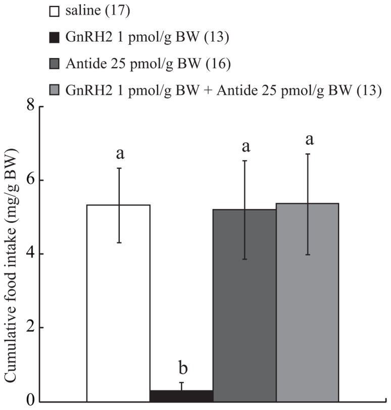 FIGURE 2