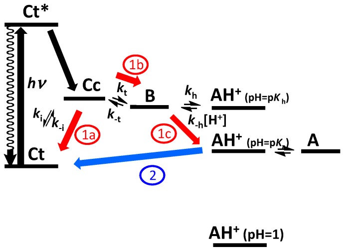 Scheme 5