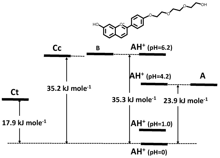 Scheme 6