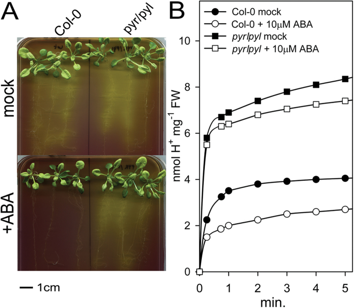 Fig. 3.