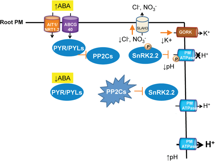 Fig. 9.