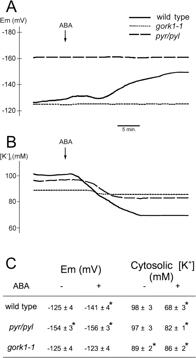 Fig 6.