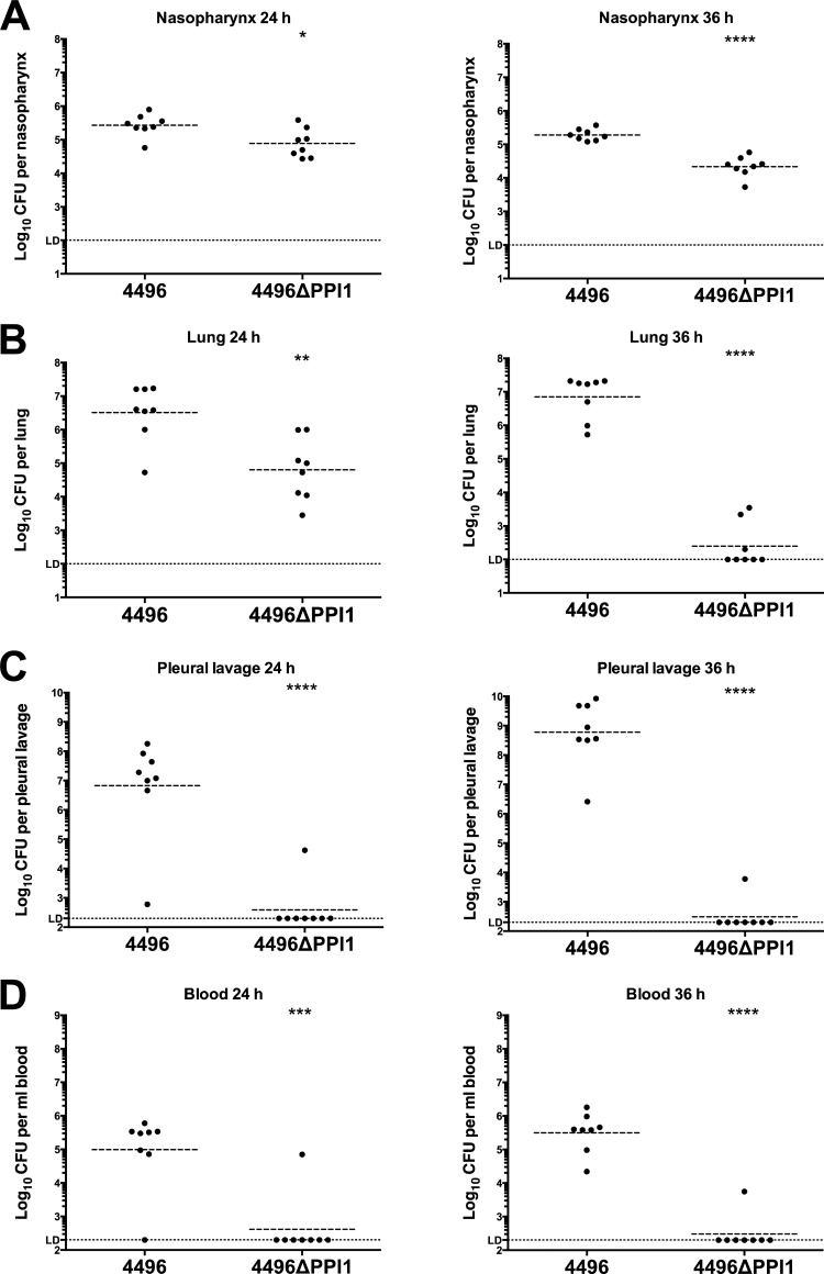 FIG 6