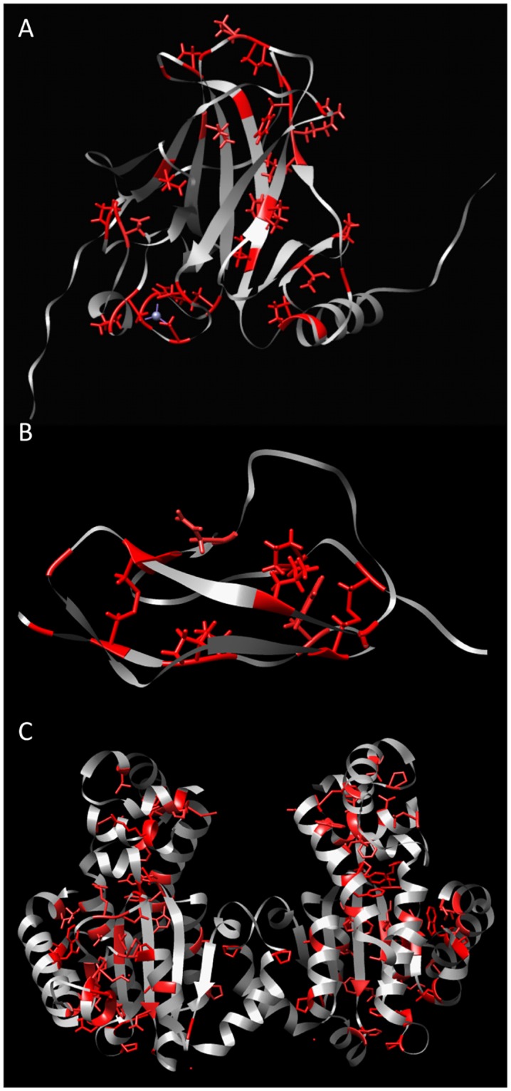 Fig 5