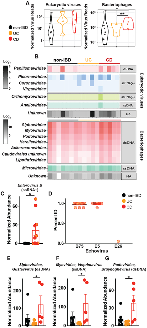 Fig 3.