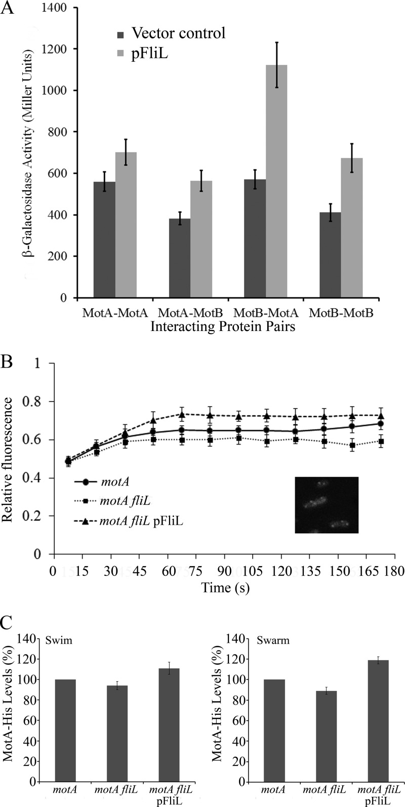 FIG 3 