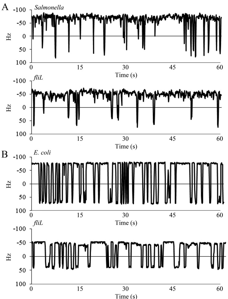 FIG 1 