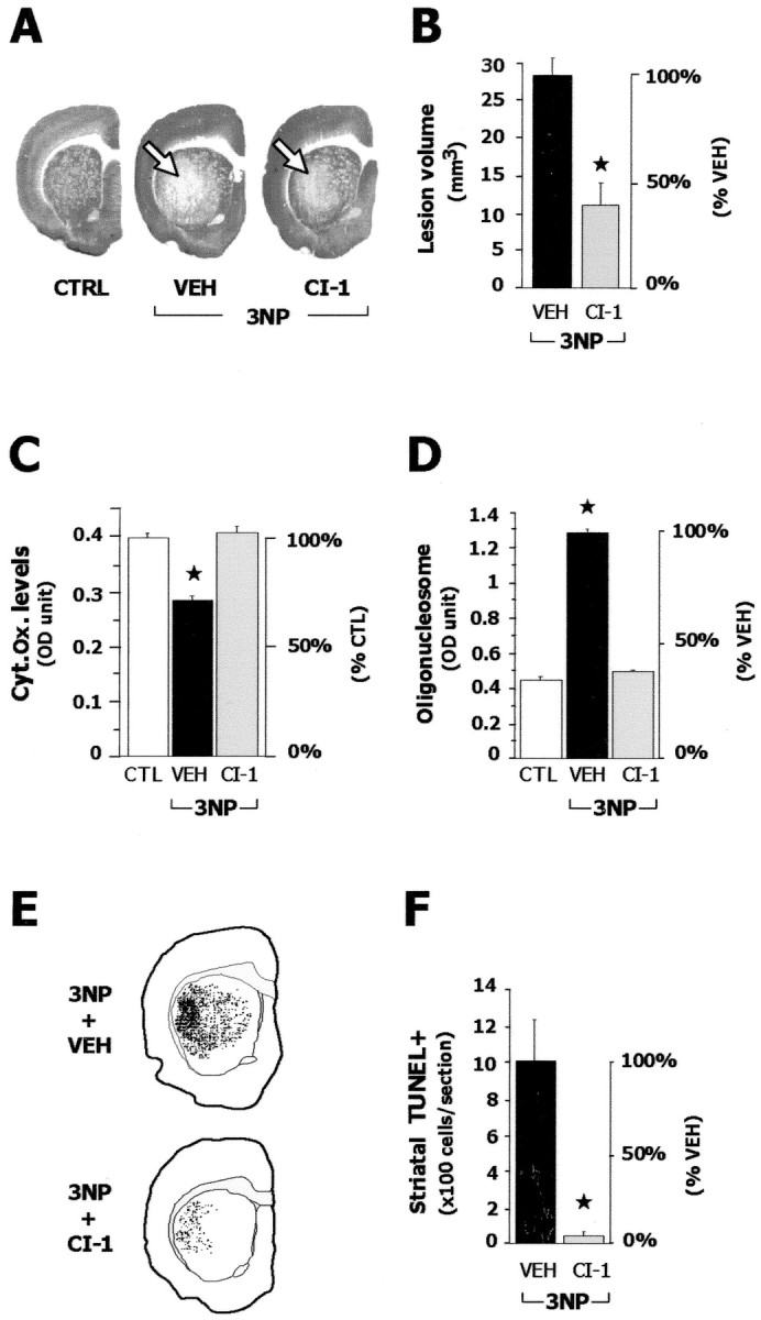 Figure 9.