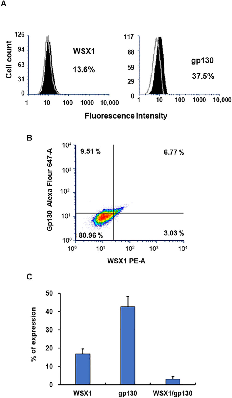 Figure 10
