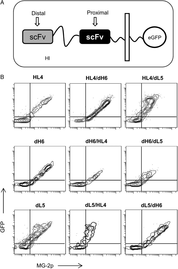 Fig. 3