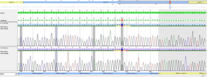 Figure 4