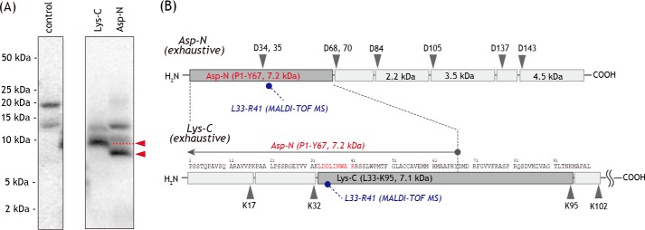 Figure 10.