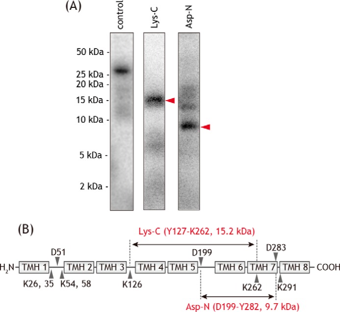 Figure 9.