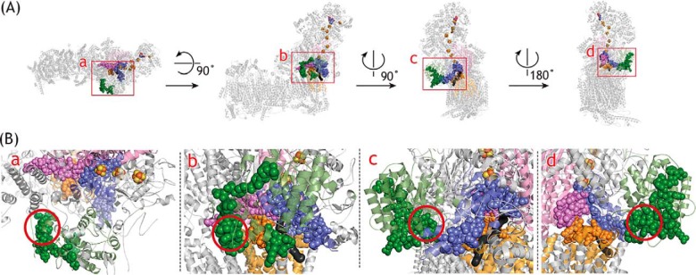 Figure 14.