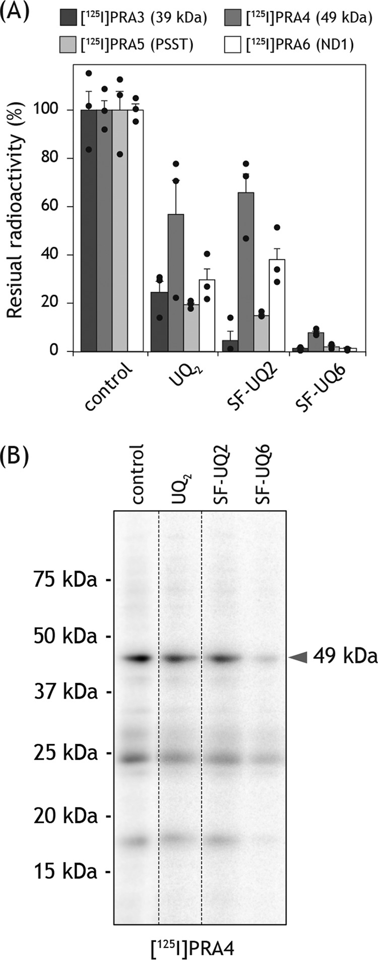 Figure 13.