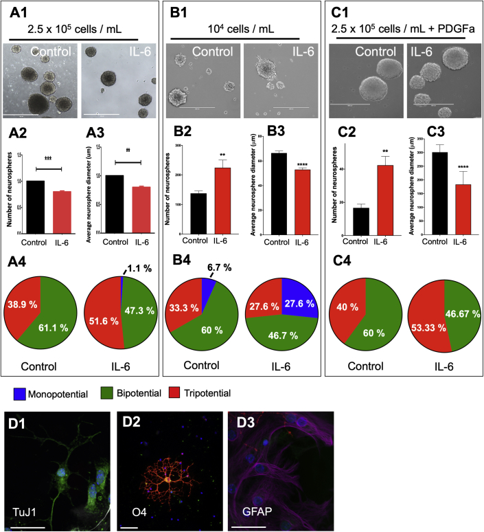 Figure 4