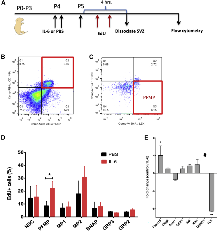 Figure 2