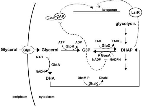 FIG. 6.