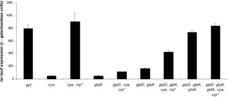 FIG. 7.