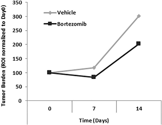 Supplementary Figure 1