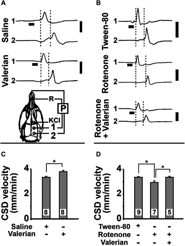 FIGURE 2