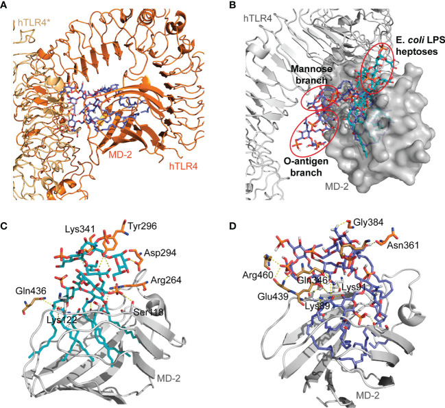 Figure 3