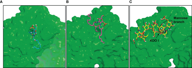 Figure 5