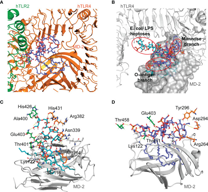 Figure 4