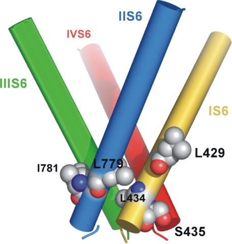 FIGURE 9.