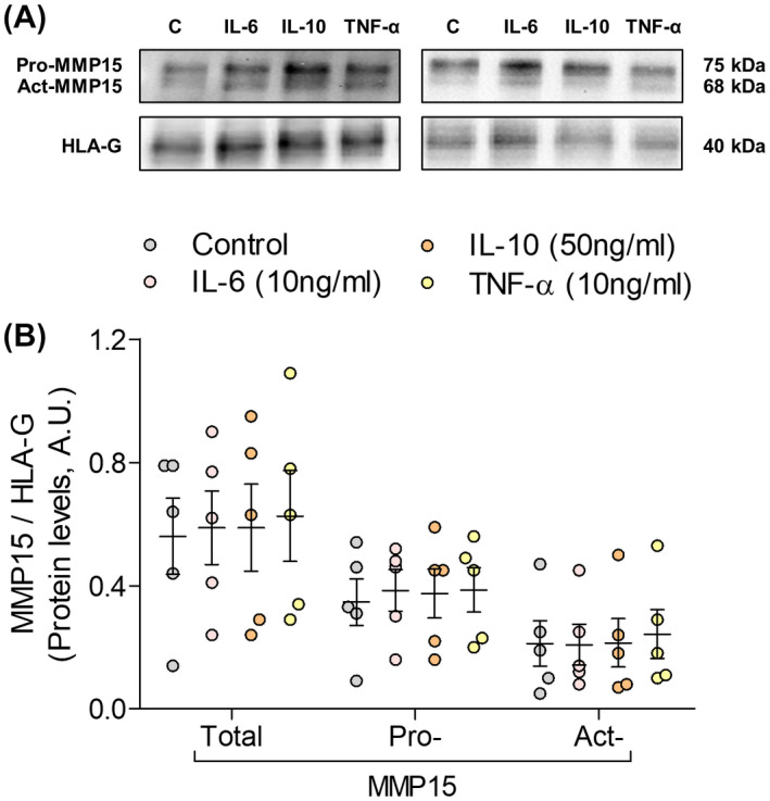 FIGURE 4