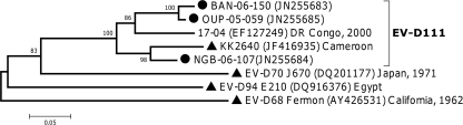 Fig 5