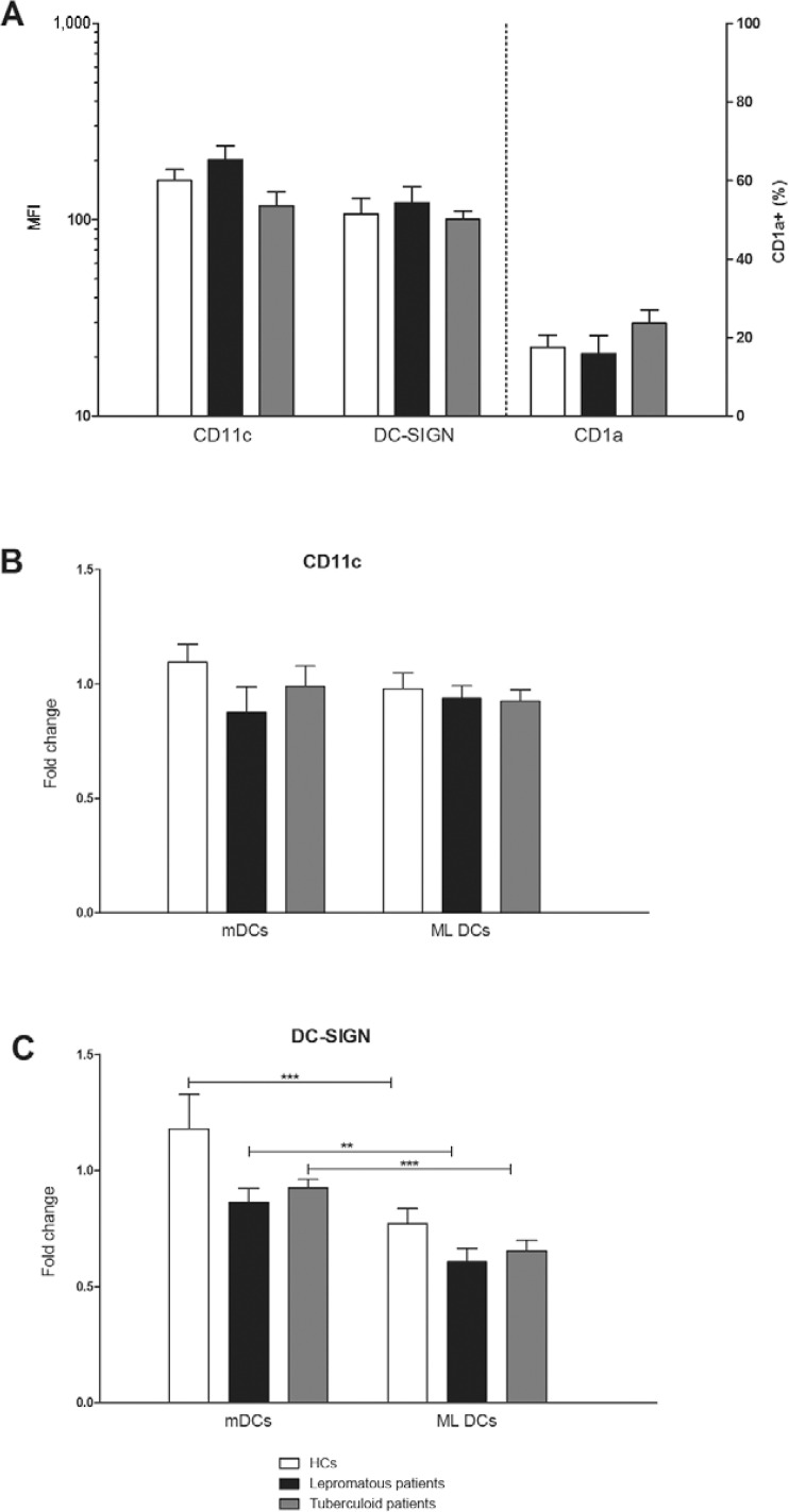 Fig. 1: