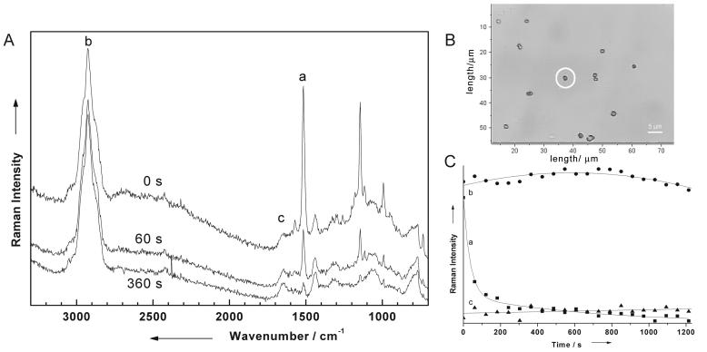 FIG. 7.