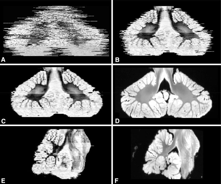 Fig. 4