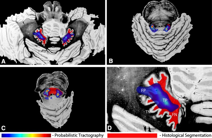 Fig. 6