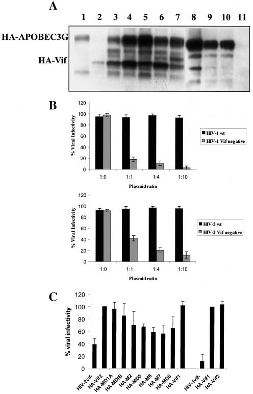 FIG. 6.