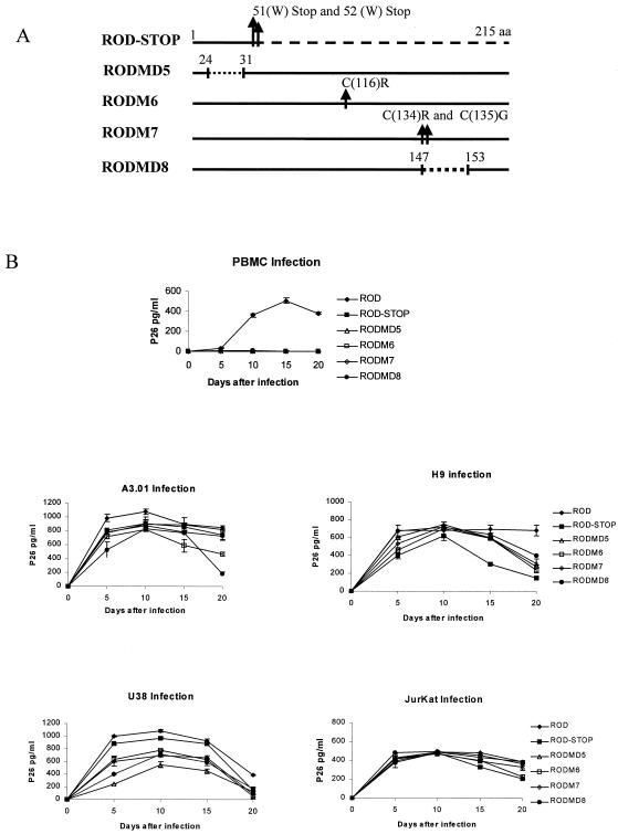 FIG. 4.