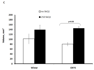 Figure 2C.