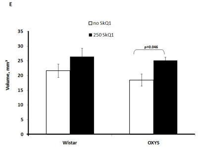 Figure 2E.